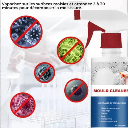 Vaporisateur de Mousse nettoyante anti-moisissure