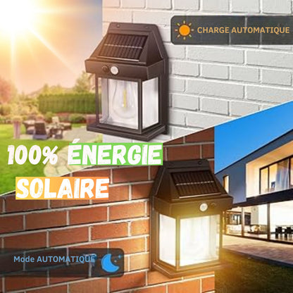 Lot de 3 Lampes Solaires Extérieures Avec détecteur de mouvement